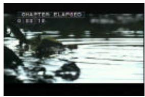 VIETA DVD-4 - Apagar la funciona Display - 5