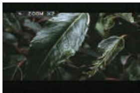 VIETA DVD-4 - Zoom off - 2