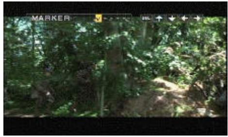 VIETA DVD-4 - Borrar un punto de localización - 2