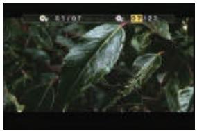 VIETA DVD-4 - Apagar la funciona Display - 3