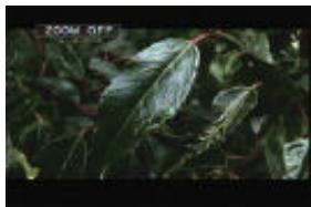 VIETA DVD-4 - Zoom off - 1