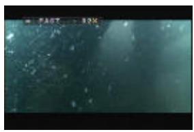 VIETA DVD-4 - Presione el botón FR/SR de nuevo - 5