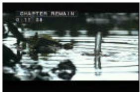 VIETA DVD-4 - Apagar la funciona Display - 6