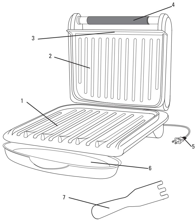 GEORGE FOREMAN GRV80CAN - CORDON - 1