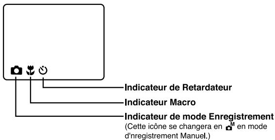 MINOX DC-2133 - 88:88 - 1