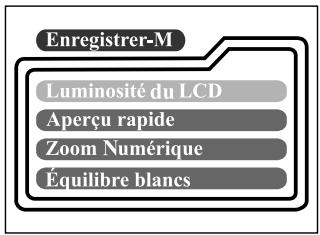 MINOX DC-2133 - Equilibre balances - 1