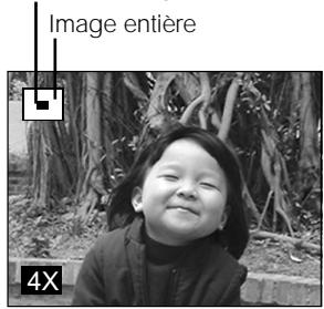 MINOX DC-2133 - Agrandir et réduire des images - 2