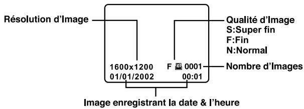 MINOX DC-2133 - 88:88 - 3