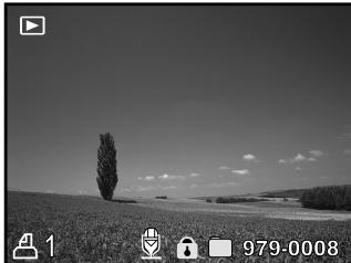 MINOX DC 1011 - Paramètres DPOF - 4