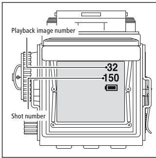 MINOX DCC ROLLEIFLEX AF 5.0 - Record mode - 1