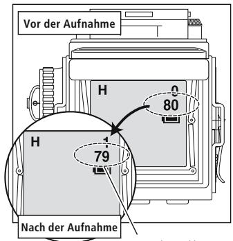 MINOX DCC ROLLEIFLEX AF 5.0 - Bildzahler - 1