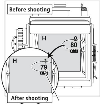 MINOX DCC ROLLEIFLEX AF 5.0 - Frame counter - 1