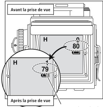 MINOX DCC ROLLEIFLEX AF 5.0 - Compteur d'images - 1