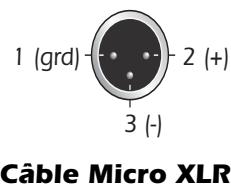 E-MU 1820M - Entrées analogiques de niveau Ligne - 2