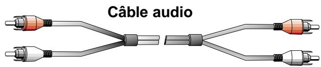 DAVIS CINEVISION - Câbles et accessoires en option - 7