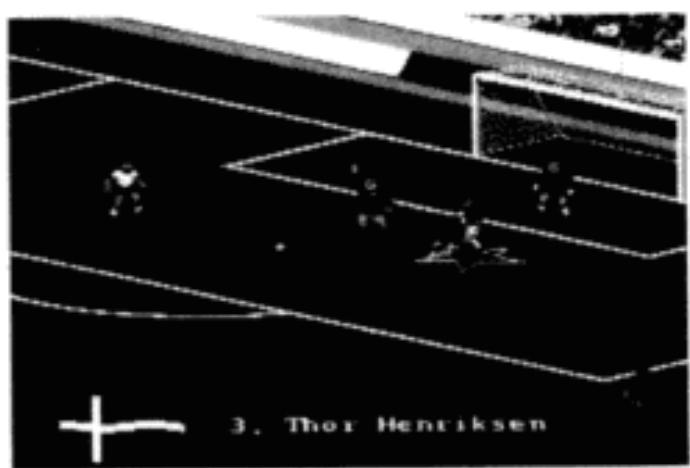 SEGA FIFA International Soccer - Sanctions - 1