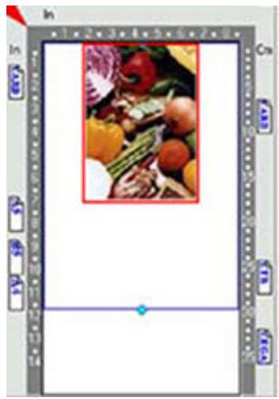 AVISION 1200P - Zone auto: - 2