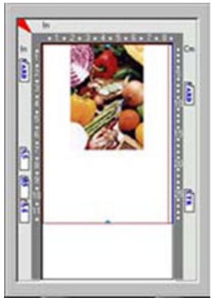 AVISION 1200P - Zone auto: - 1