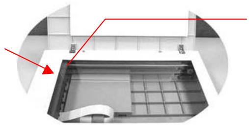 AVISION NETDELIVER @V2000 - Déverrouiller l'unité de numérisation - 3