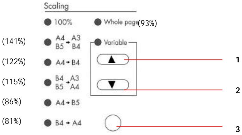 AVISION NETDELIVER @V2000 - Zone d'échelle : - 1