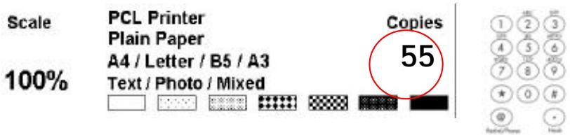 AVISION NETDELIVER @V5000 - CHANGER L'ECHELLE - 4