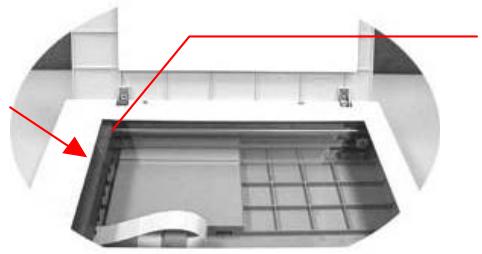 AVISION NETDELIVER @V5000 - Déverrouiller l'unité de numérisation - 4