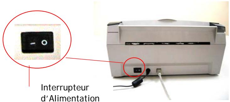 AVISION A20C2 - Mettre Sous Tension - 1