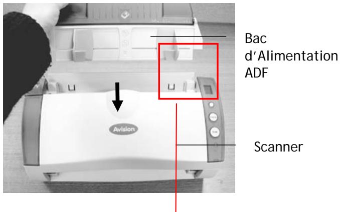 AVISION A20C2 - Installer le Bac d'Alimentation ADF (Automatic Document Feeder - Chargeur de Documents Automatique) - 1