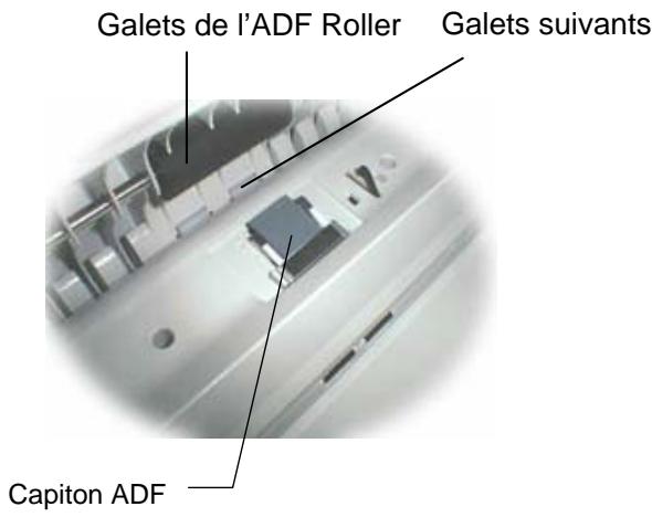 AVISION AV610C2 - Procédures de nettoyage - 1