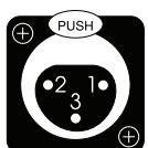 CLASSE AUDIO CA-M400 - Entrée symétrique (XLR) - 1