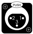 CLASSE AUDIO CP-500 - Entrées symétriques (prises XLR) - 1