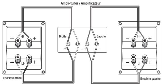 INFINITY C336 - C336 - 2