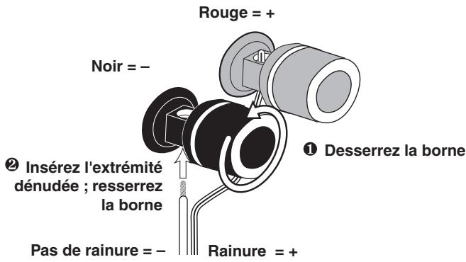 INFINITY C336 - RACCORDEMENTS DU SYSTEME - 1