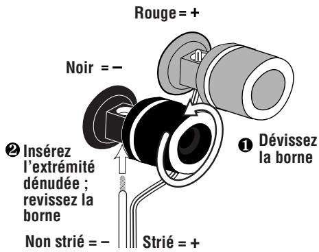 INFINITY CASCADE NINE - CâBLAGE DU SYSTÉME - 1
