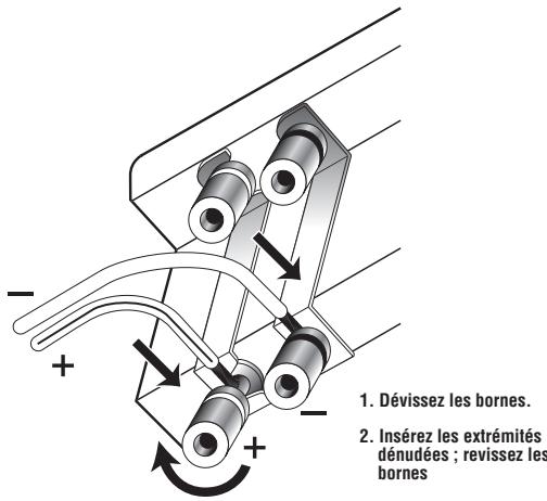 INFINITY CASCADE SEVEN - CâBLAGE DU SYSTÉME - 2