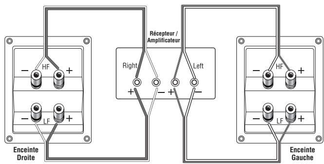 INFINITY CASCADE THREE V - DOUBLE CÂBLAGE - 2