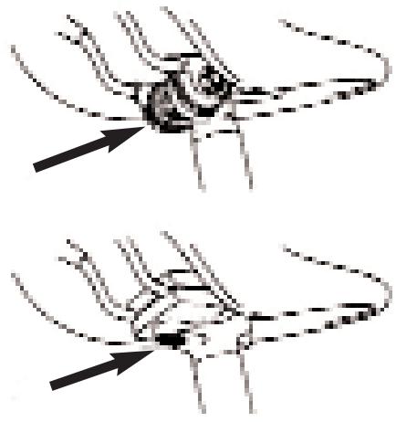 ELECTRA MANUEL D UTILISATION - - POSITION DE LA SELLE - 2