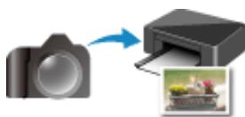 CANON MG 6852 - Impression - 4