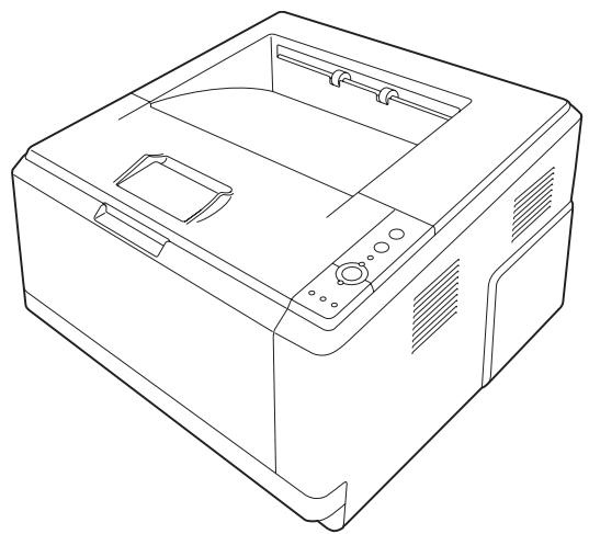 EPSON ACULASER M2000DN - 1