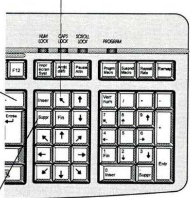 GATEWAY KBDMAN007ABFR - Touches supplémentaires - 1