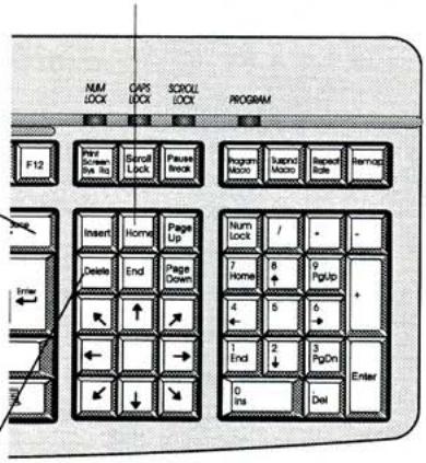 GATEWAY KBDMAN007ABFR - Clavier suisse - 1