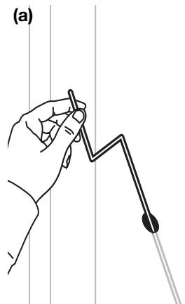 BOSE 151 - Figure 13 - 1