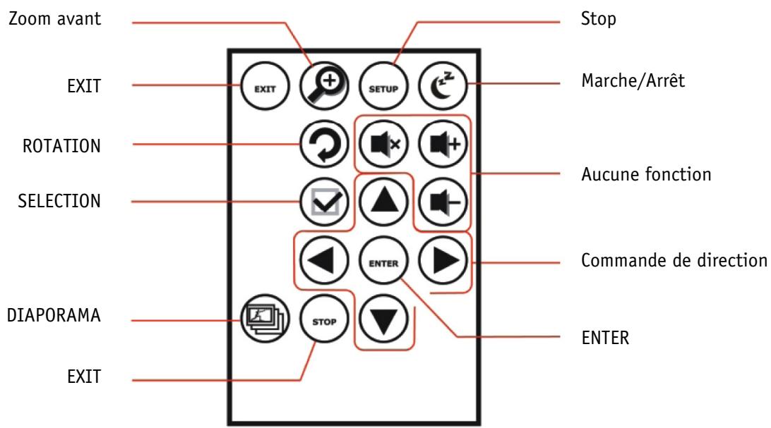 JOBO PDJ104 - Éléments principaux - 2