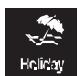 BRANDT BFC584YNW - Holiday - 1
