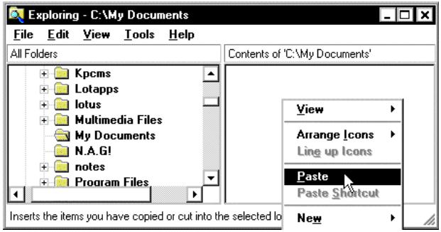 PSION NETBOOK PRO - Copie de fichiers à l'aide des fonctions Copier et Coller - 1