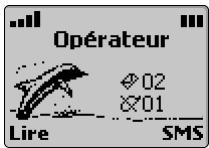 MITSUBISHI TELECOM TRIUM 110 - Icônes importantes - 2