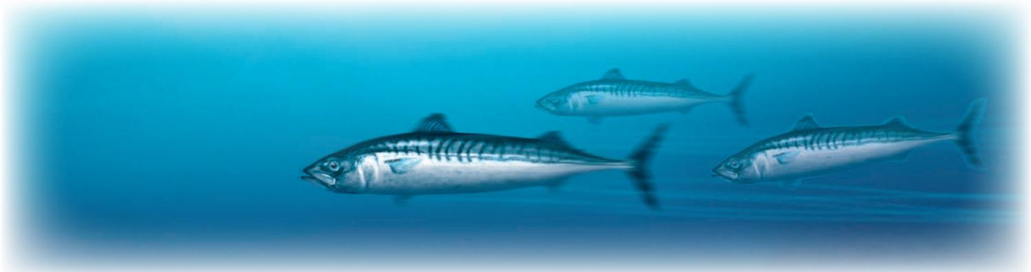 SIMRAD SX90 - Stabilisation du faisceau - 1