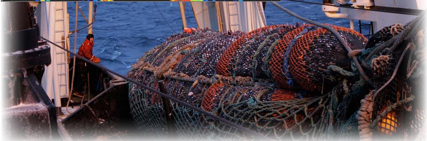 SIMRAD SX90 - Merlans bleus - 1