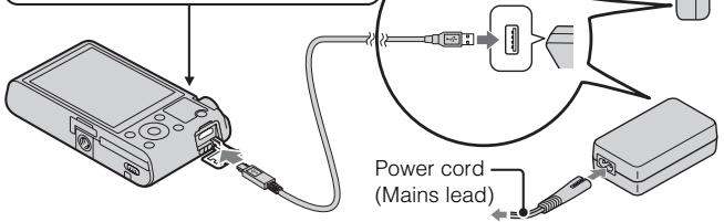 SONY DSC-RX100 - Inserting the battery pack - 4