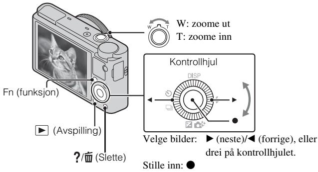 SONY DSC-RX100 - Merknader - 1